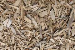 biomass boilers Newmains